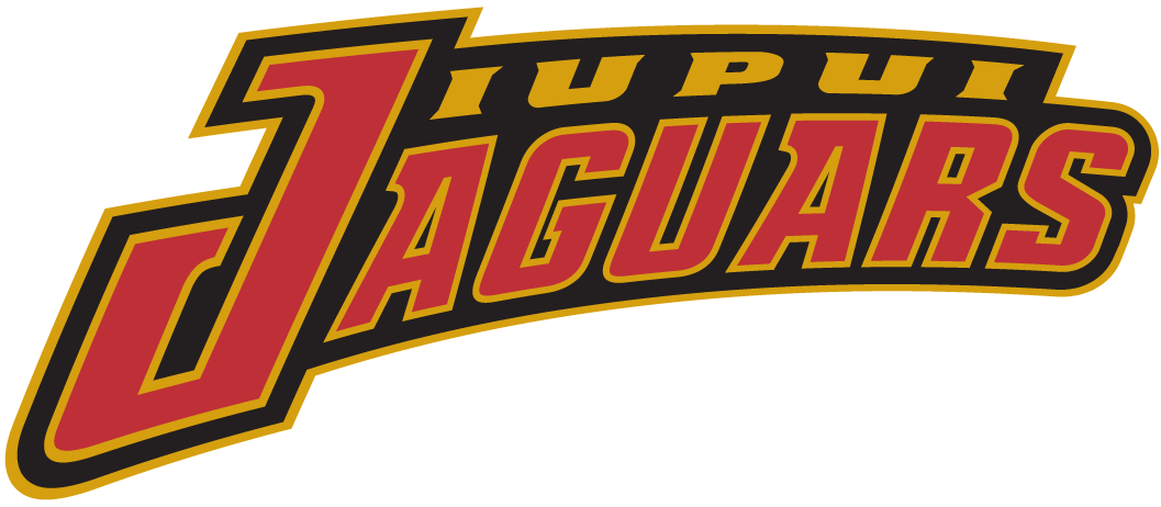 IUPUI Jaguars 2002-Pres Wordmark Logo diy fabric transfer